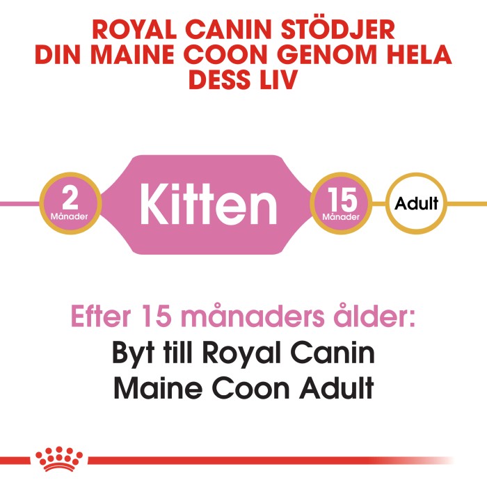 Royal Canin Maine Coon Kitten, 4kg