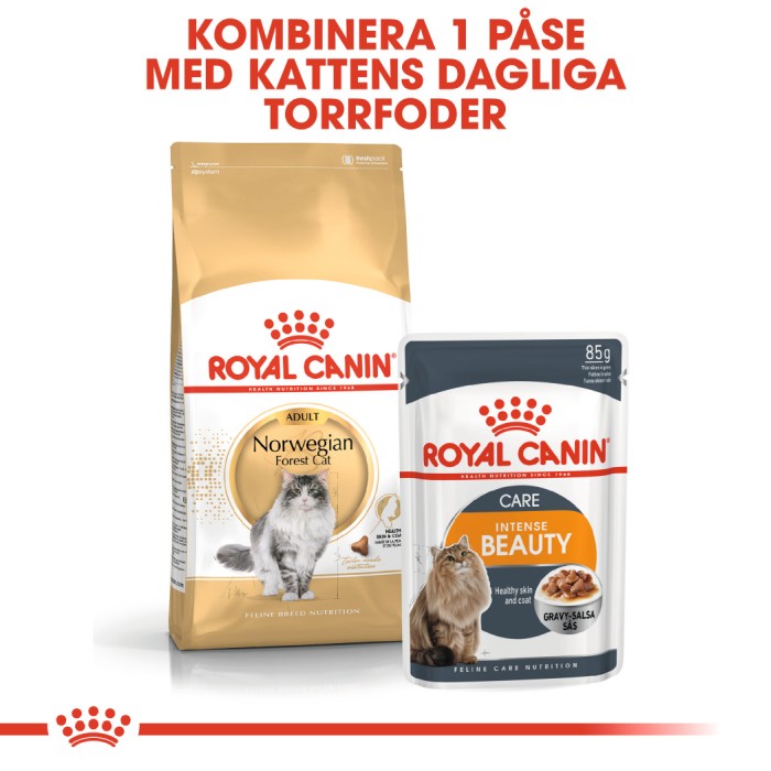 Royal Canin Norwegian Forest Cat Adult 10kg