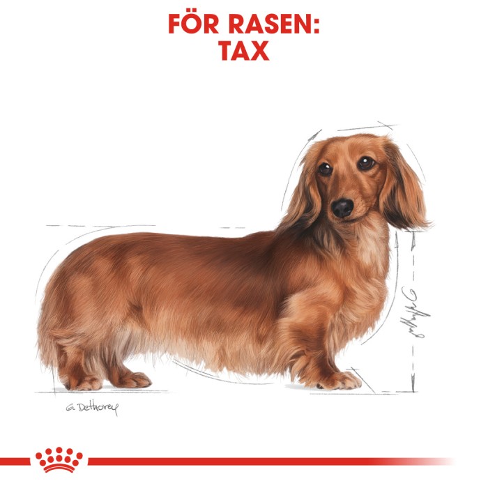 Royal Canin Dachshund Adult 7,5kg
