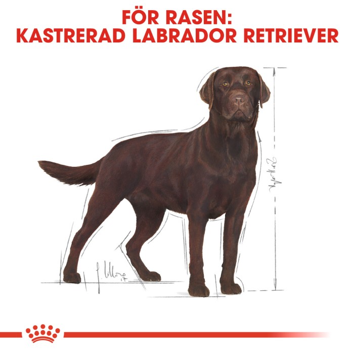 Royal Canin Labrador Retriever Sterilised, 12kg