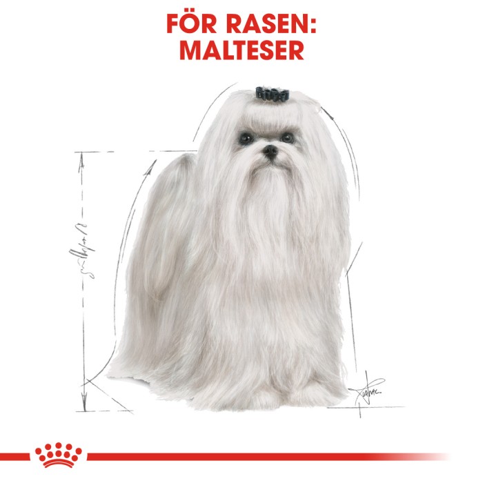 Royal Canin Malteser Adult 1,5kg