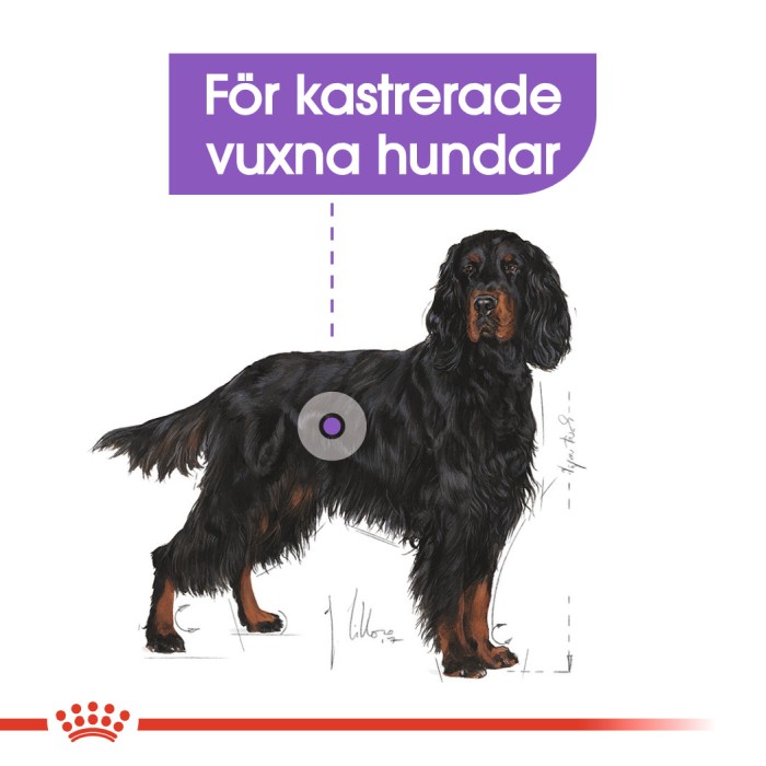 Royal Canin Maxi Sterilised, 9kg
