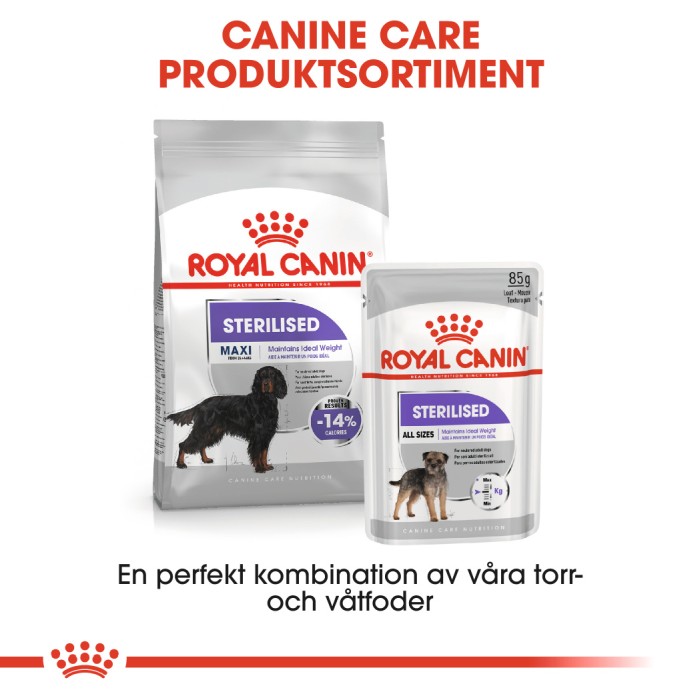 Royal Canin Maxi Sterilised, 9kg