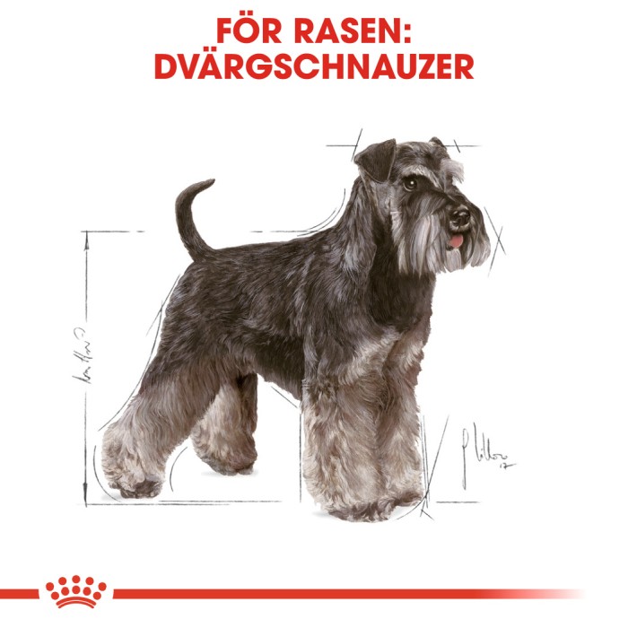 Royal Canin Miniature Schnauzer Adult, 3kg