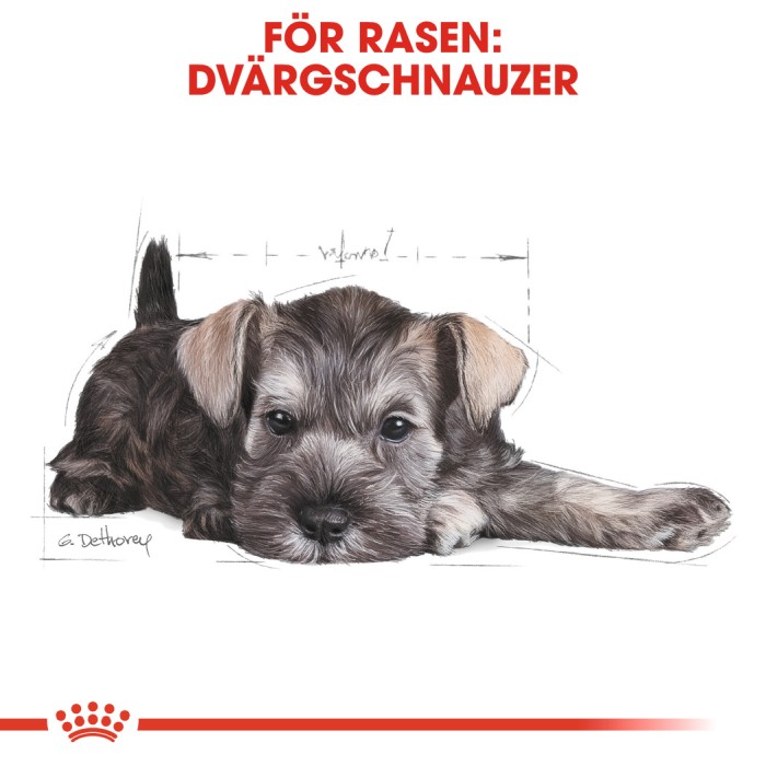 Royal Canin Miniature Schnauzer Puppy 1,5kg