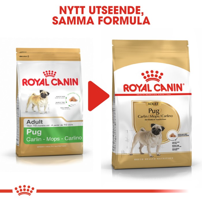 royal canin mops