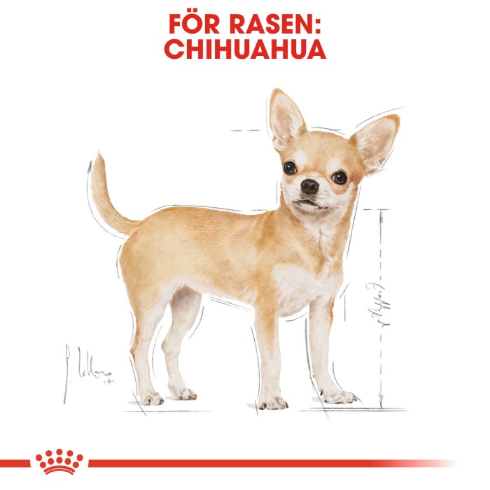 Royal Canin Chihuahua Adult Våtfoder, 12x85g