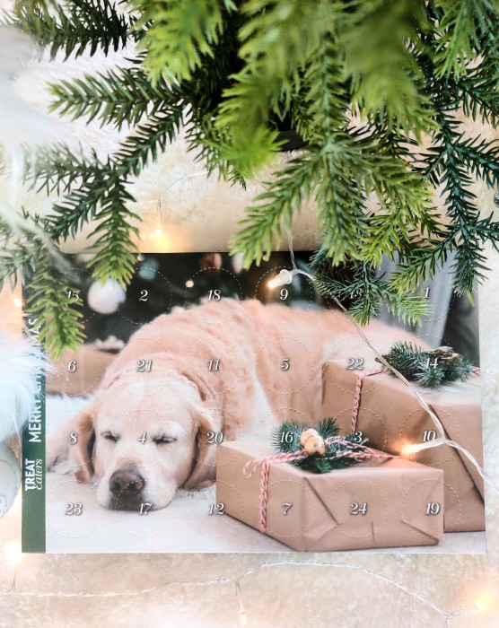 TreatEaters Julkalender Hund